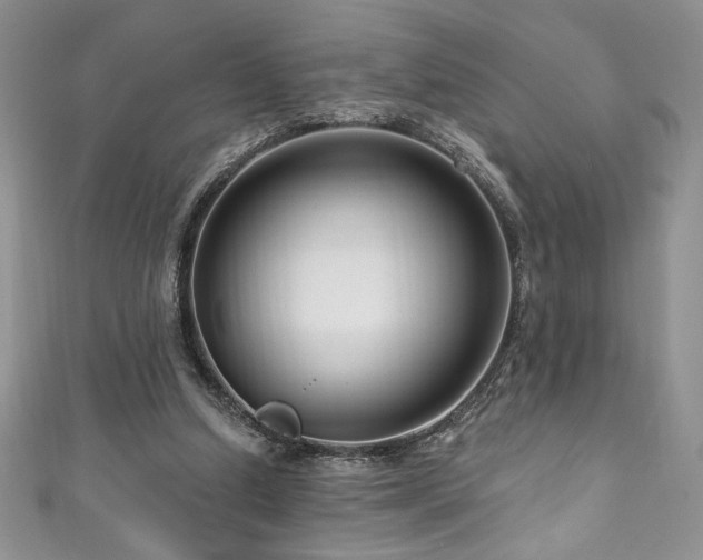 X0000111200250200907011439