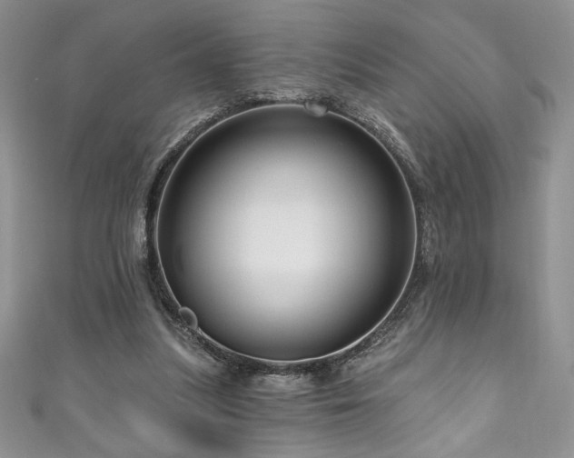 X0000111200251200907011439