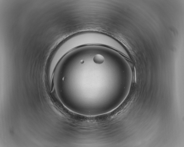 X0000111200252200907011439