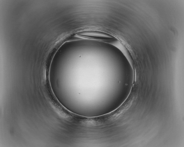 X0000111200253200907011439