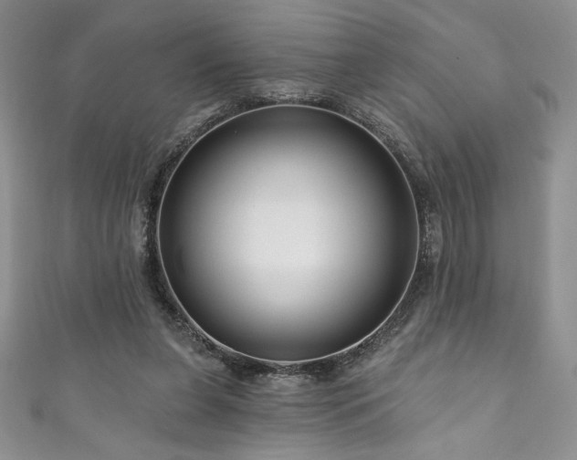 X0000111200255200907011439