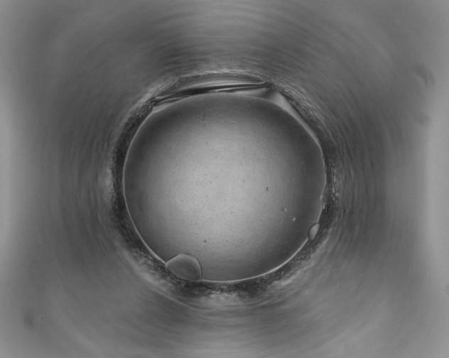 X0000111200256200907011439