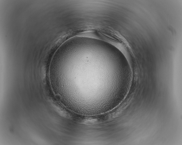 X0000111200257200907011439