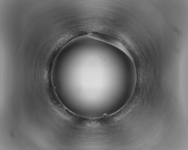 X0000111200258200907011439