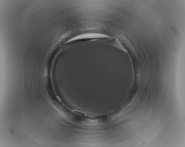 X0000111200260200907011439