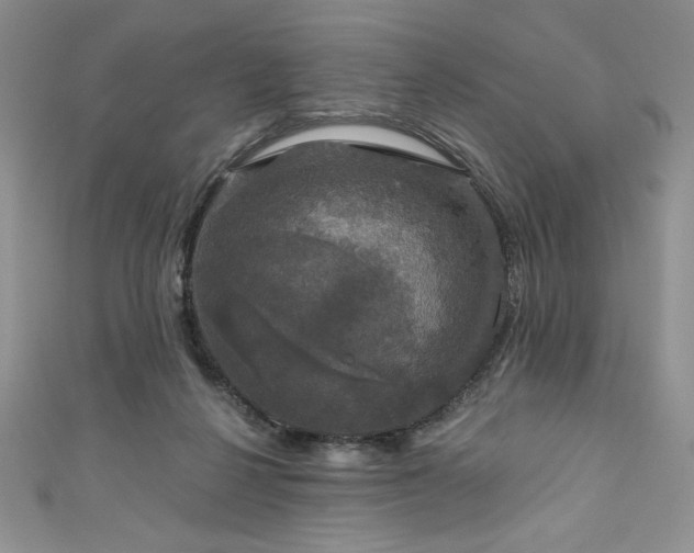 X0000111200264200907011439