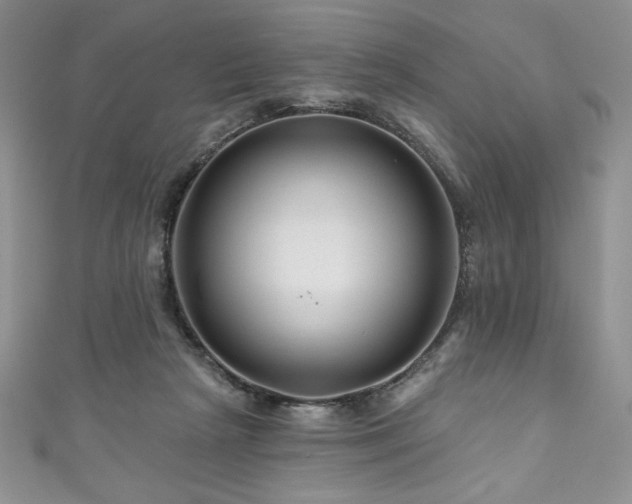 X0000111200265200907011439