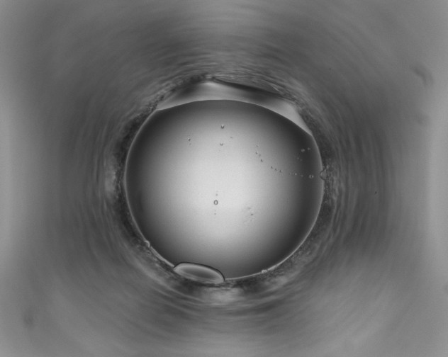 X0000111200266200907011439