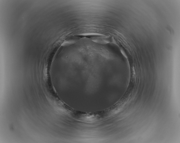 X0000111200267200907011439