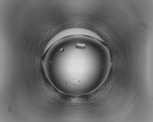 X0000111200268200907011439