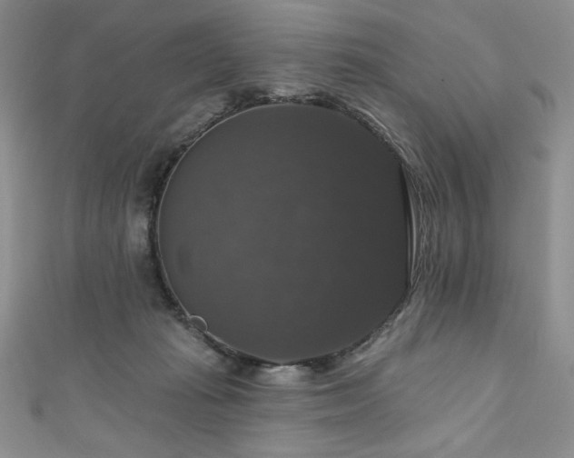 X0000111200269200907011439