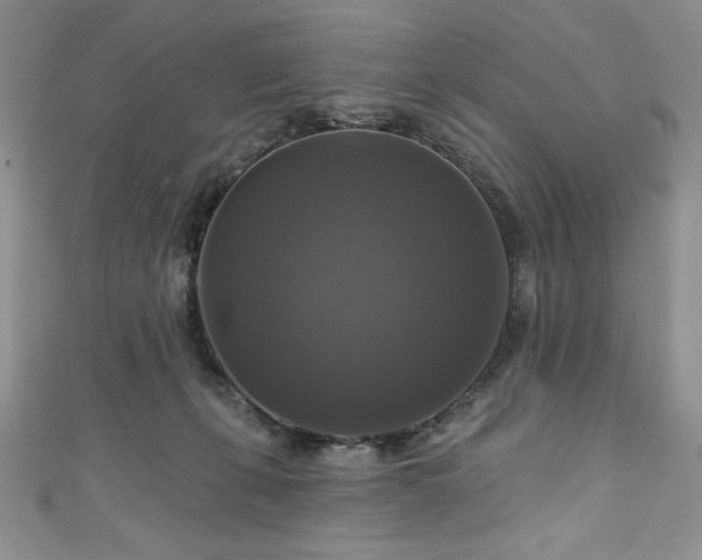 X0000111200271200907011439