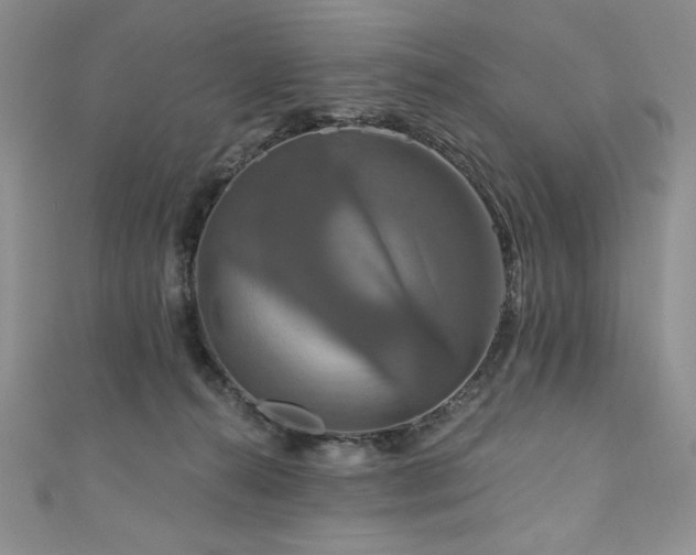 X0000111200272200907011439