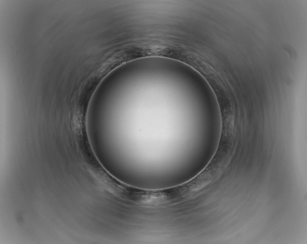 X0000111200274200907011439