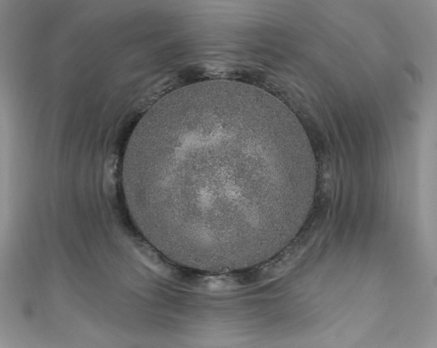 X0000111200275200907011439