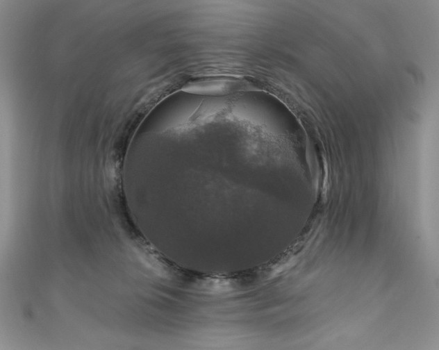 X0000111200276200907011439