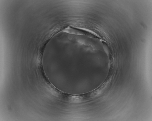 X0000111200277200907011439