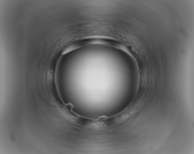 X0000111200278200907011439