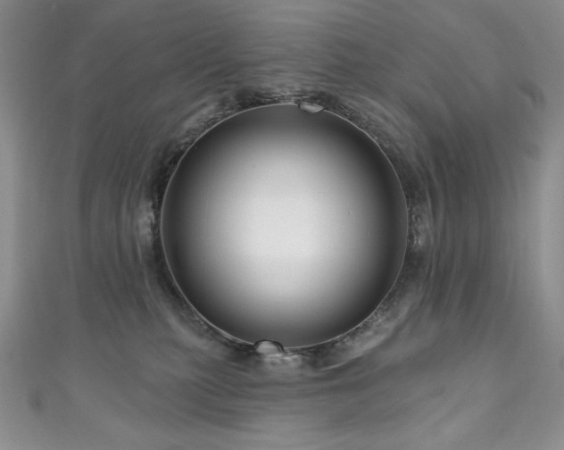 X0000111200279200907011439