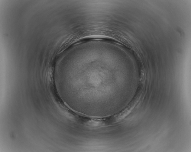 X0000111200280200907011439