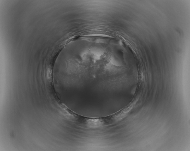 X0000111200281200907011439