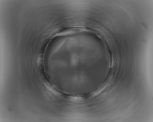 X0000111200284200907011439