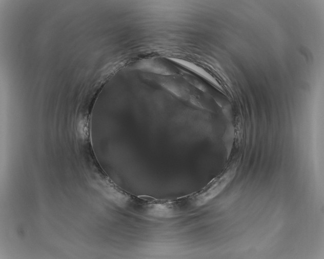 X0000111200285200907011439