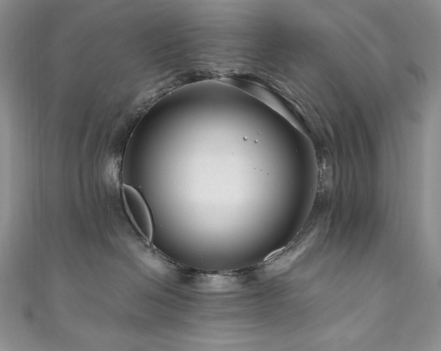 X0000111200286200907011440