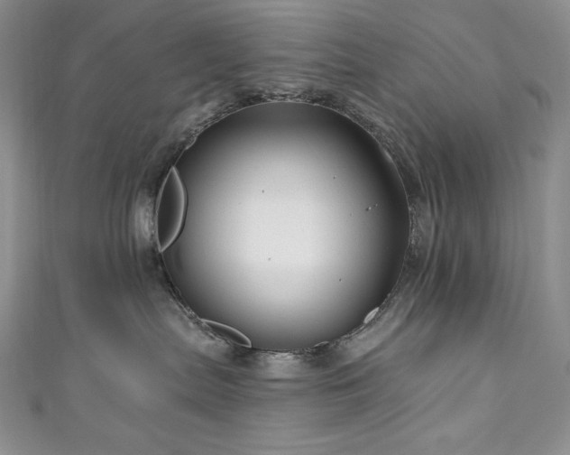 X0000111200287200907011440