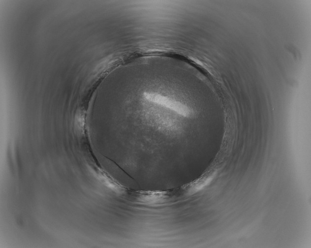 X0000111200288200907011440