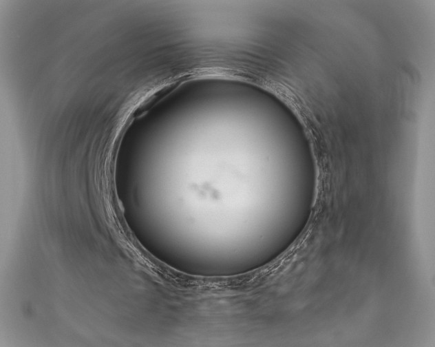 X0000111200289200907011439