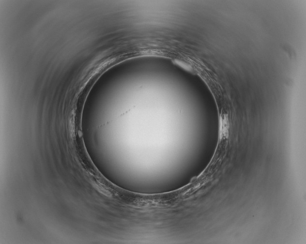 X0000111200291200907011439