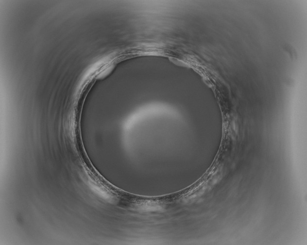 X0000111200293200907011439