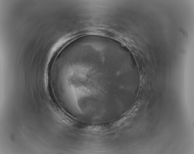 X0000111200294200907011439