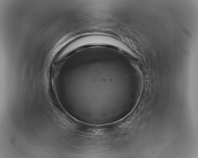 X0000111200295200907011439