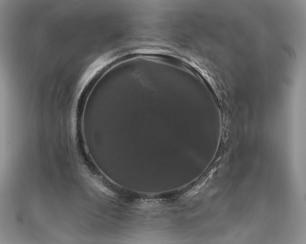 X0000111200296200907011439