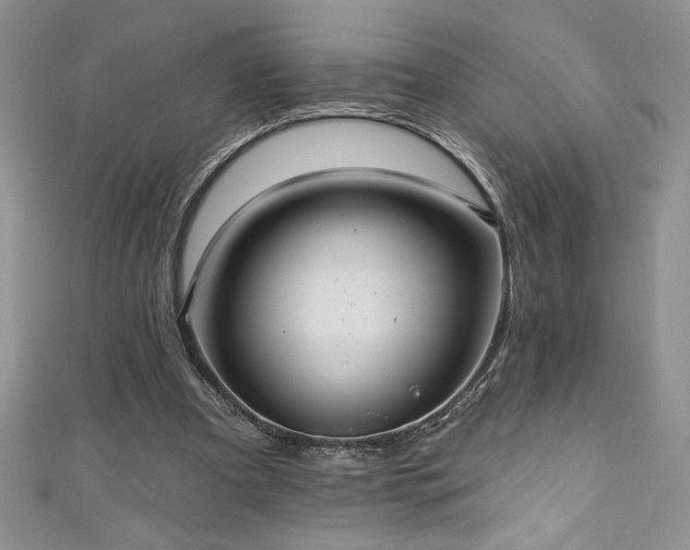 X0000111200297200907011439