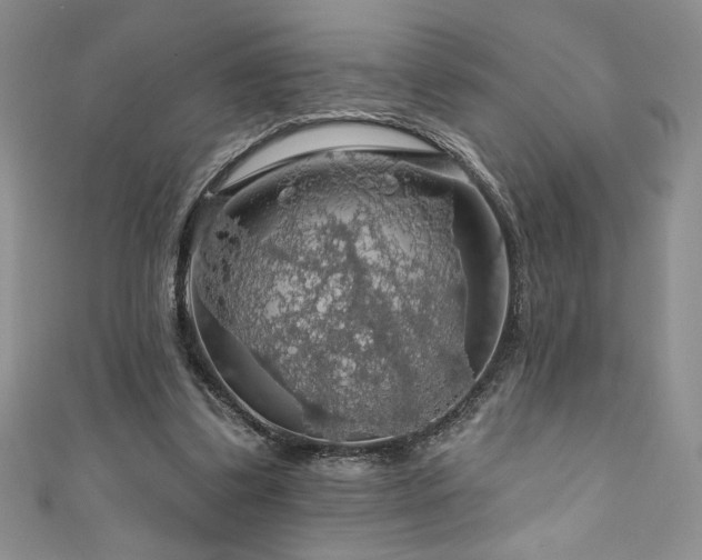 X0000111200299200907011439