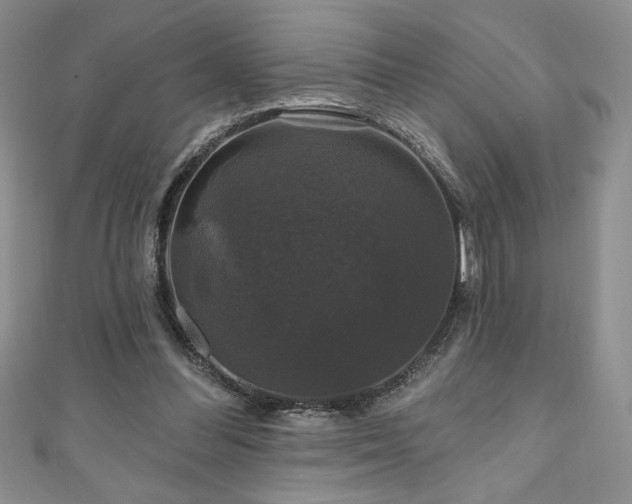 X0000111200300200907011439