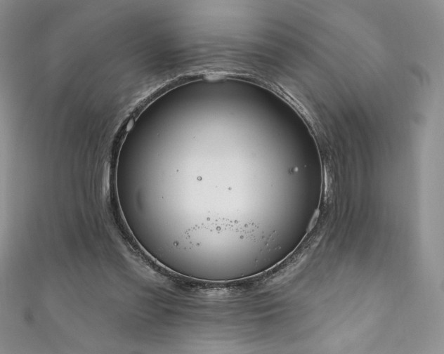 X0000111200301200907011439