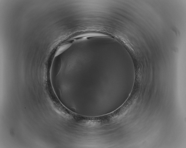 X0000111200303200907011439