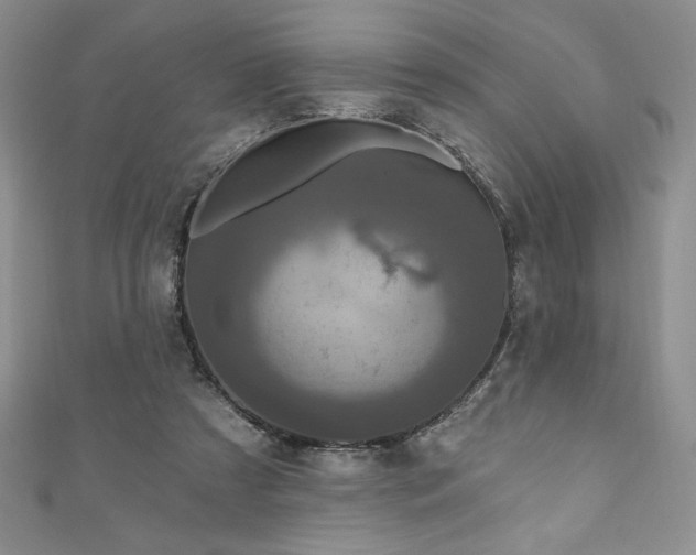 X0000111200305200907011439