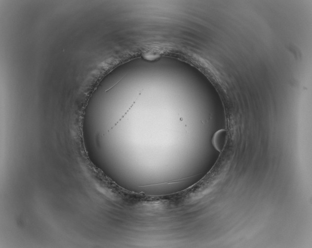 X0000111200307200907011439