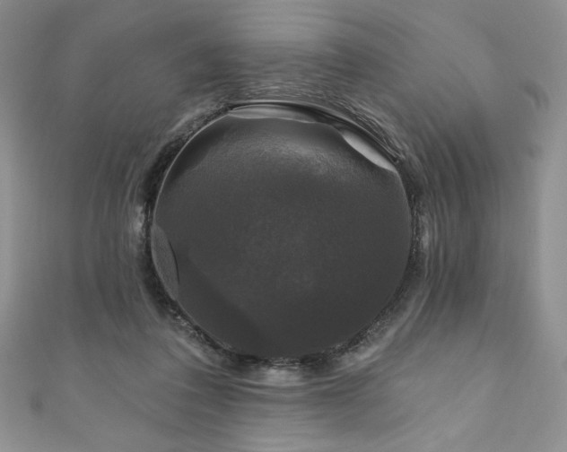 X0000111200308200907011439