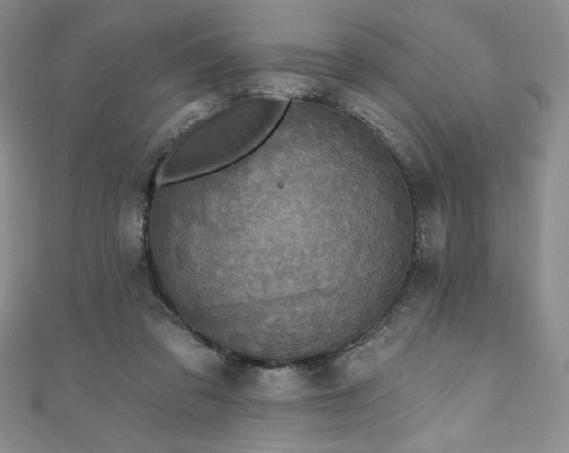 X0000111200309200907011439