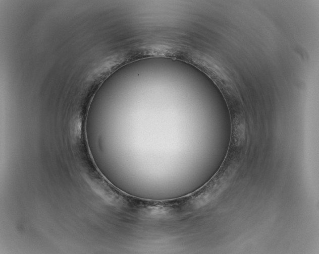 X0000111200310200907011439