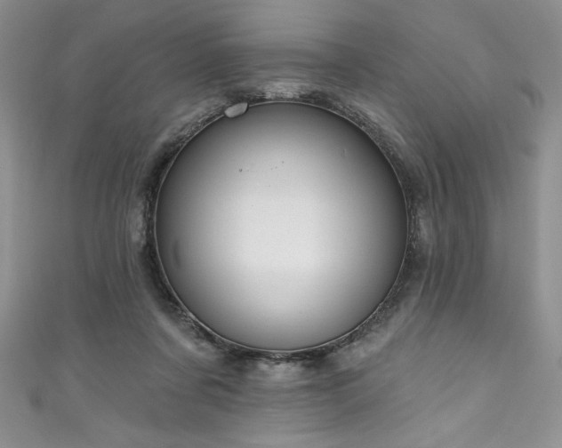 X0000111200311200907011439