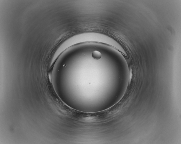 X0000111200312200907011439