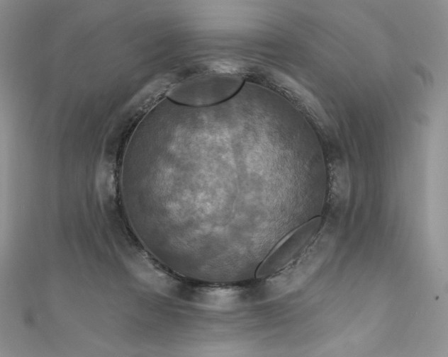 X0000111200313200907011439