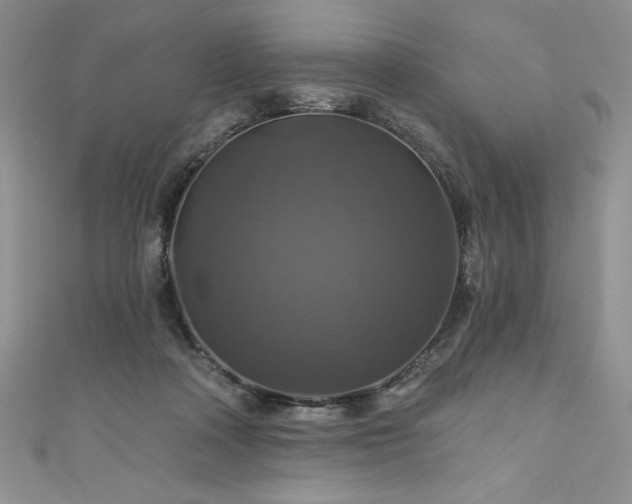 X0000111200314200907011439